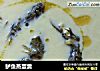 鲈鱼蒸蛋羹的做法