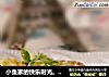 小鱼家的快乐时光土豆泥小酥盒的做法