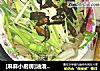 [麻麻小厨房]油泼百叶的做法