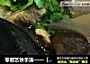 零厨艺快手汤——【木耳豆腐汤】的做法