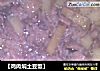 【鸡肉焖土豆饭】的做法