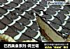 巴西美食系列-荷兰塔的做法
