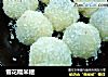 雪花糯米糍的做法