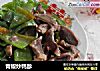 青椒炒鸭胗的做法