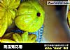 南瓜菊花卷的做法