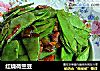红烧荷兰豆的做法