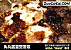 丸丸蛋蛋煲饭饭的做法