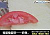 我爱电饭煲——奶香四溢蛋糕的做法