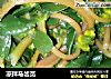 凉拌马齿苋的做法