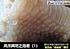 凤爪两吃之泡椒（1）的做法