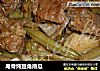 尾骨炖豆角南瓜的做法
