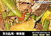 东北乱炖－脊骨版的做法