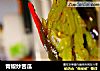 青椒炒苦瓜的做法