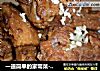 一道简单的家常菜---------香芋焖排骨的做法