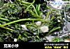苋菜小炒的做法