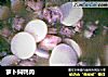 萝卜焖鸭肉的做法