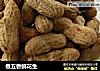 煮五香鲜花生的做法