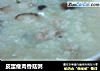皮蛋瘦肉香菇粥的做法