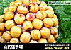 山药莲子塔的做法