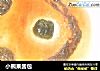 小熊果酱包的做法