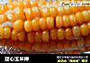 甜心玉米棒的做法