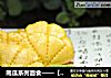南瓜系列面食——【南瓜荷叶饼】的做法