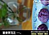 面食学习之 --- 【紫薯肉包】的做法
