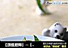 【顶级厨师】--【黄鳝海米炖豆腐】的做法