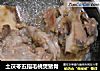 土茯苓五指毛桃煲猪骨的做法