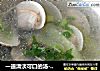 一道清淡可口的汤-----青瓜蛤蜊汤的做法