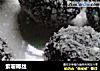 紫薯椰丝的做法