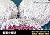 紫薯小雪球的做法