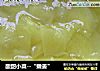 酸甜小菜--“嫩姜”的做法
