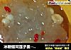 冰糖银耳莲子羹---秋天美容滋补良品的做法