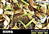 香辣烤鱼的做法