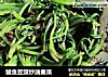 鲮鱼豆豉炒油麦菜的做法