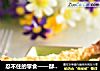 忍不住的零食——酥皮杏仁棒的做法