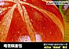 电饭锅面包的做法