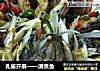 孔雀开屏做法(3)的做法