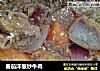 番茄洋葱炒牛肉的做法