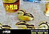 小鸭酥的做法