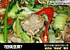 ?回锅豆腐?的做法