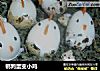 鹌鹑蛋变小鸡的做法