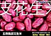 五香脆皮花生米的做法
