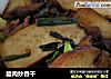 腊肉炒香干的做法
