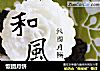 饭团月饼的做法