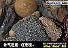 补气活血--红枣桂圆乌鸡汤的做法