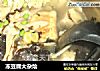 冻豆腐大杂烩的做法