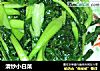 清炒小白菜的做法