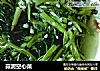 蒜泥空心菜的做法